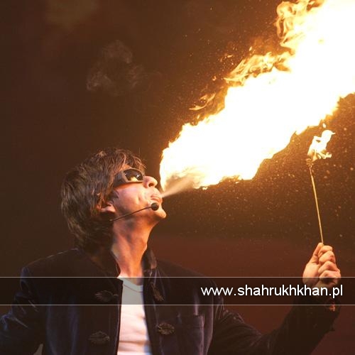 Shah Rukh Khan galeria - Don-ogień.jpg