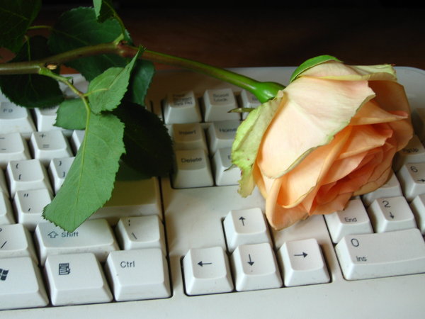 róże - Still_Romantic_by_Flafiut.jpg