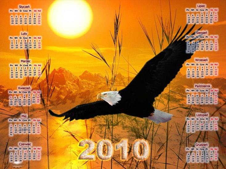  KALENDARZE_PLANY LEKCJI - kalendarz roczny 2010 6.jpg