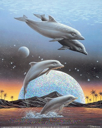 delfinki - animal092.gif