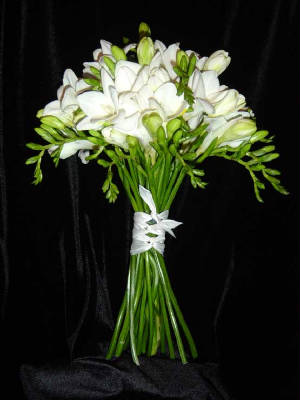 FREZJE - white-freesia-bouquetweb.jpg.w300h400.jpg