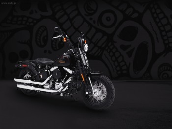 super tapety i wygaszacze - 268_2008_Harley-Davidson_FLSTSB_Cross_Bones.jpg