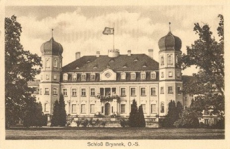 Zamki i Pałace Dolnego Ślaska - Brynnek_Schloss.jpg