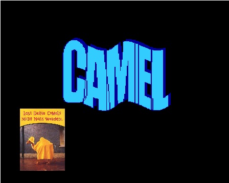 camel 2 - camel 2.jpg