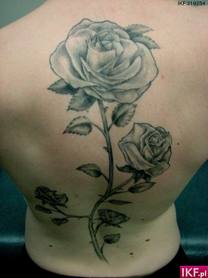 Tatuaze - img6585.tatuaze.219254.jpg
