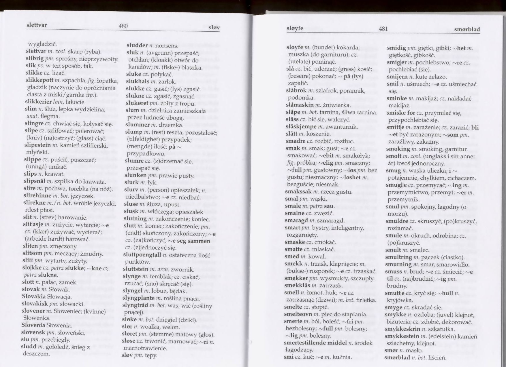 słownik - Słownik Polsko Norweski 239.jpg