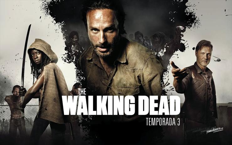 The Walking Dead - walking-dead2.jpg