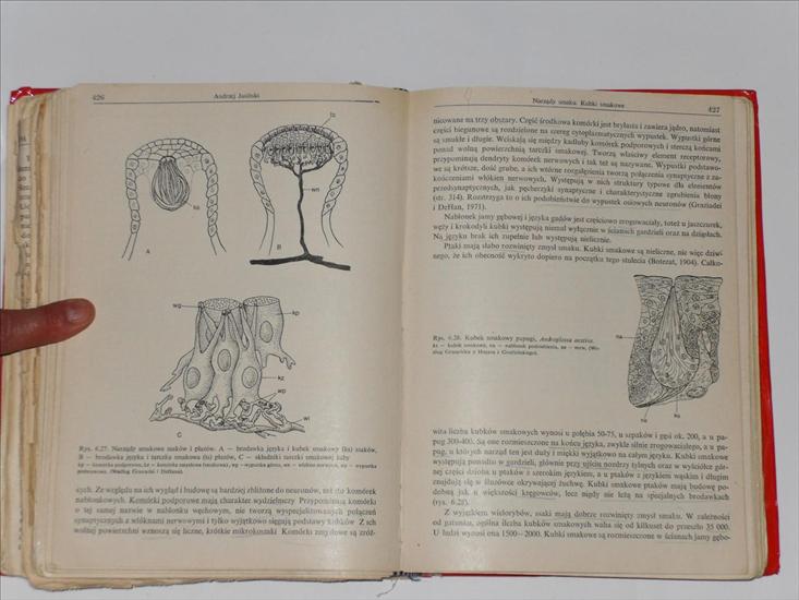1. Anatomia porównawcza kręgowców. Henryk Szarstki - SDC13139.JPG