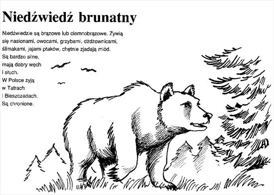 Zwierzęta na polskiej ziemi - 25.jpeg