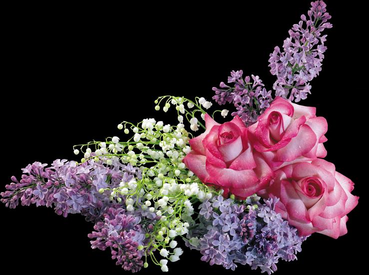 kwiaty,rośliny - Lilac_023.png
