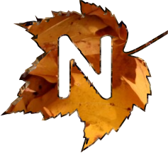 jesienny lisc1 - N-43.png