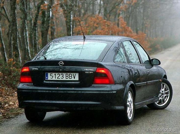 Opel - opel-vectra. ,.,..jpg