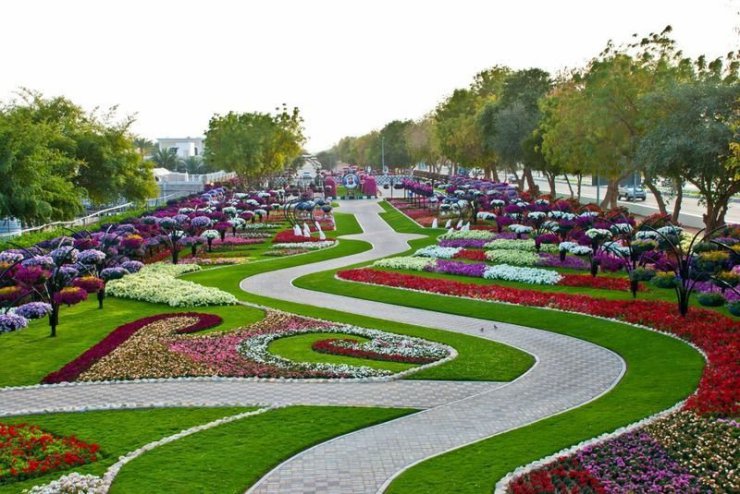 Piękny ogród kwiatowy Al Ain - 30.jpg