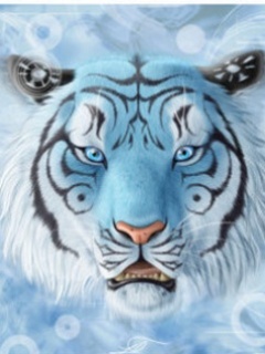 Nowy folder - Tiger21.jpg