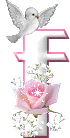 Różowy z różą i gołąbkiem - F..gif