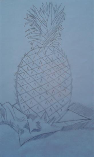 moje szkice  - ananas.jpg