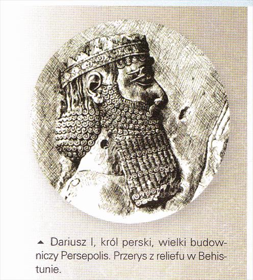 Persja Achemenidów - obrazy - Obraz IMG_0026. Dariusz I Wielki.jpg