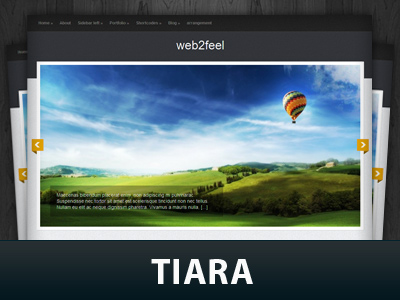  WordPress theme - Tiara.jpg