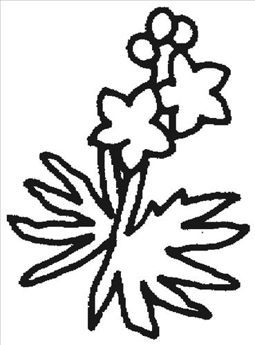 kwiatki - delphinium.gif