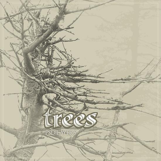 Trees - Rons_Trees_1.jpg