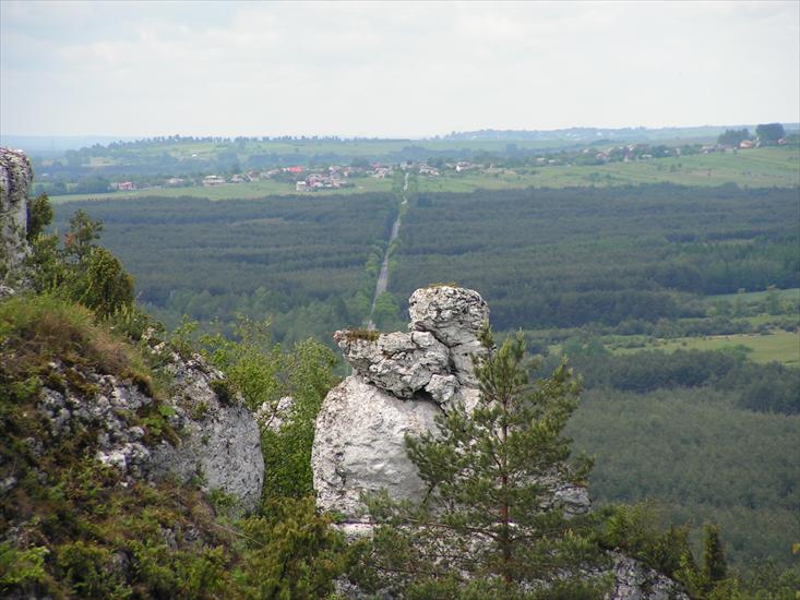 Jura krak - częst - Góra Zborów - widok ze szczytu - JG.JPG