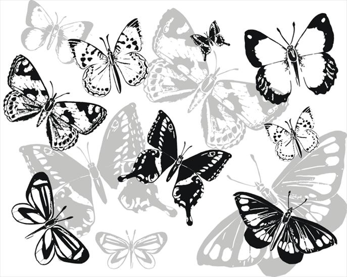 Tła z motylem - butterflies-black-n-white-shadows-picture.gif