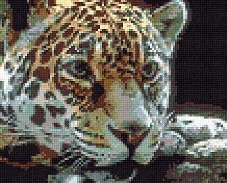 Kanwa czarna - jaguar.jpg