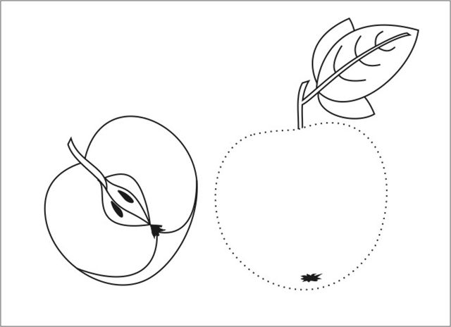 edukacja przyrodnicza owoce - jablko2.JPG