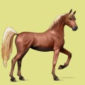 Moje konie w Howrse - Biała grzywa Z MIASTA CUDÓW.jpg