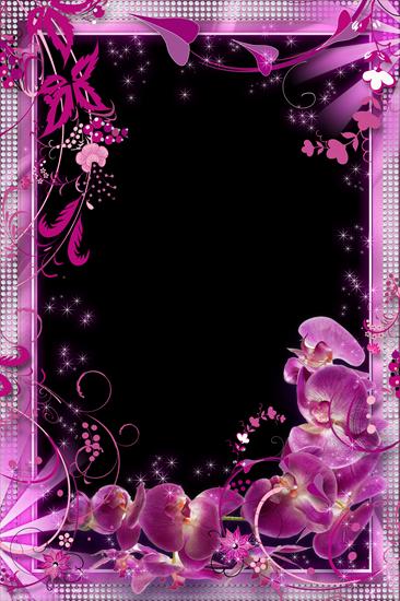 Z KWIATAMI 1B - Flower Frame for Photoshop with Orchids - Pink Paradise.png