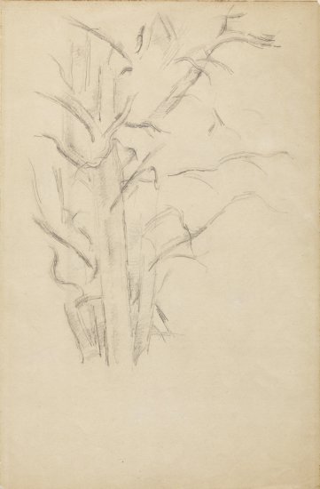 Paul Cezanne Paintings 1839-1906 Art nrg - Tree study, 1886-88.jpg