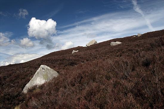 FOTO IRLANDIA GÓRY WICKLOW - 10.jpg