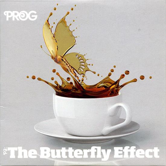 2012 Prog P3 - The Butterfly Effect - Folder.jpg