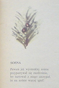 Włodzimierz Scisłowski - Włodzimierz Scisłowski-Sosna.jpg
