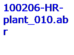 Liście 01 - 100206-HR-plant_010_0.png