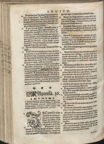 Biblia Brzeska 1563 Color 2000p JPGs - Biblia Brzeska 1059.jpg