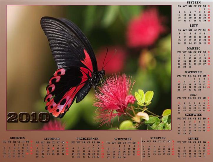Kalendarze z motylkami - Bez nazwy 62.jpg