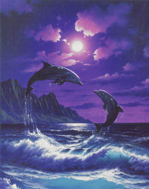 Delfiny i Orki - Mas.jpg